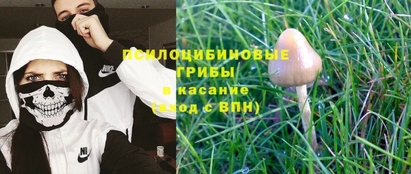 ГАЛЛЮЦИНОГЕННЫЕ ГРИБЫ Заволжск