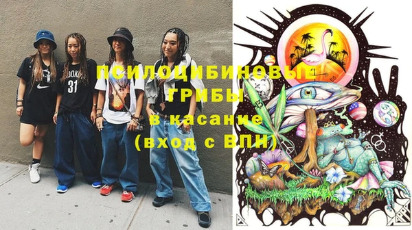 ГАЛЛЮЦИНОГЕННЫЕ ГРИБЫ Заволжск