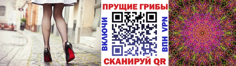 где продают   Сунжа  Псилоцибиновые грибы GOLDEN TEACHER 